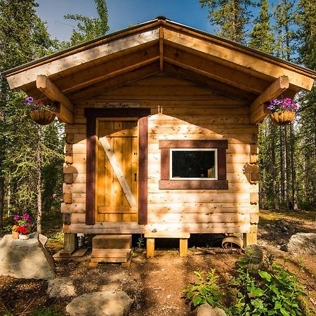 Blackburn Cabins - Mccarthy, Alaska Bagian luar foto