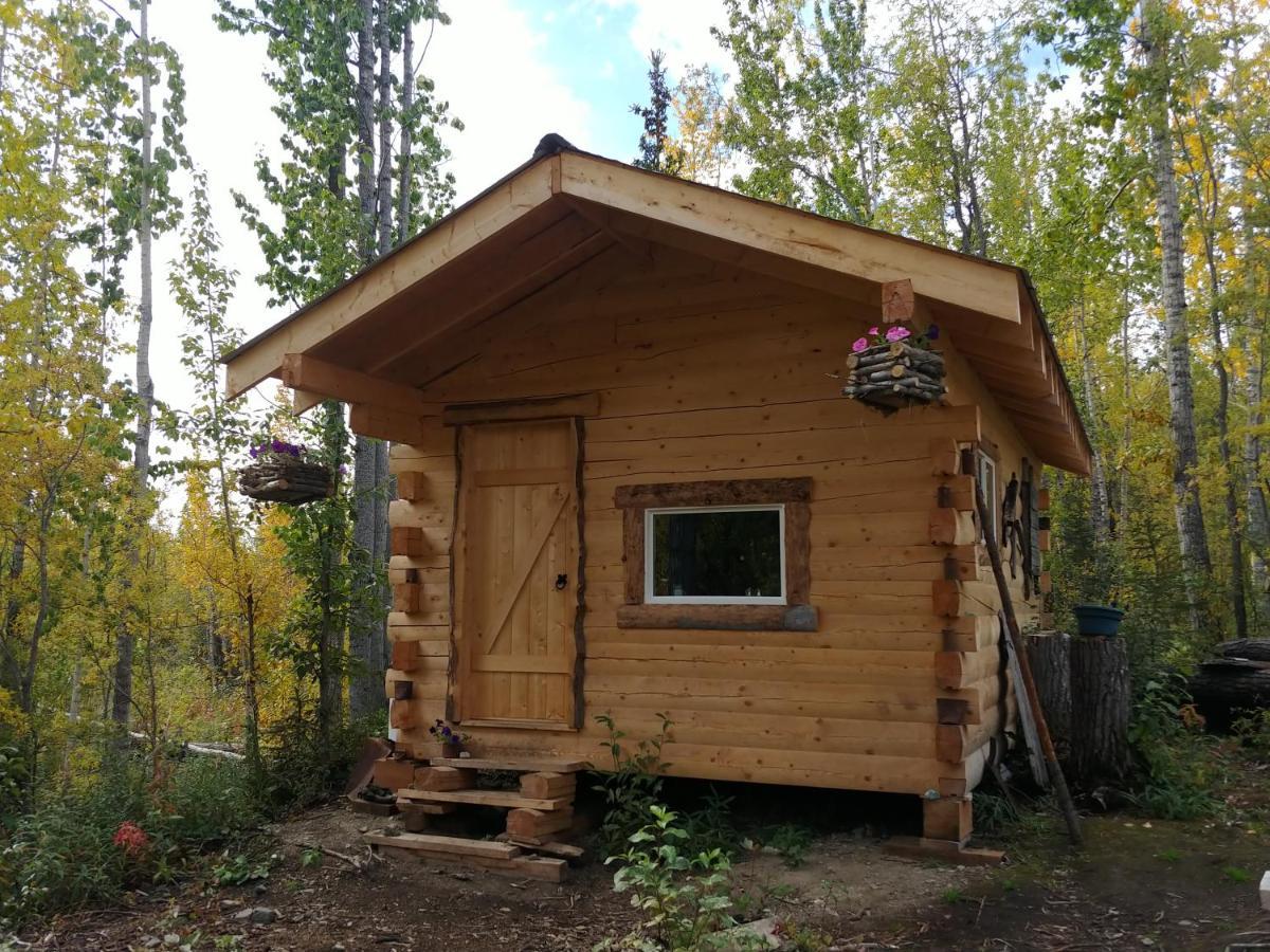 Blackburn Cabins - Mccarthy, Alaska Bagian luar foto