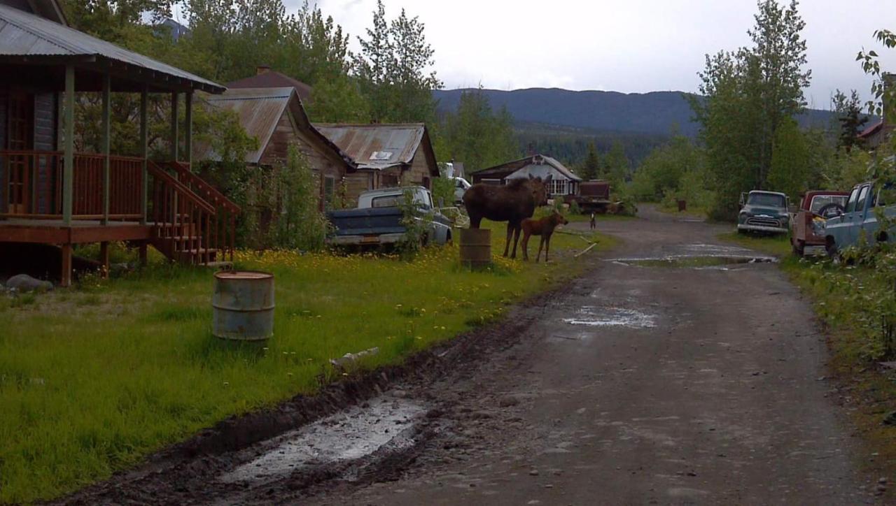 Blackburn Cabins - Mccarthy, Alaska Bagian luar foto