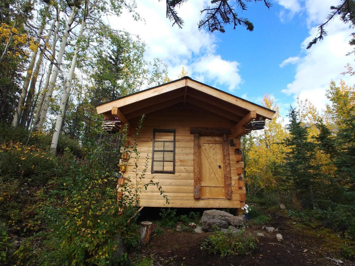 Blackburn Cabins - Mccarthy, Alaska Bagian luar foto
