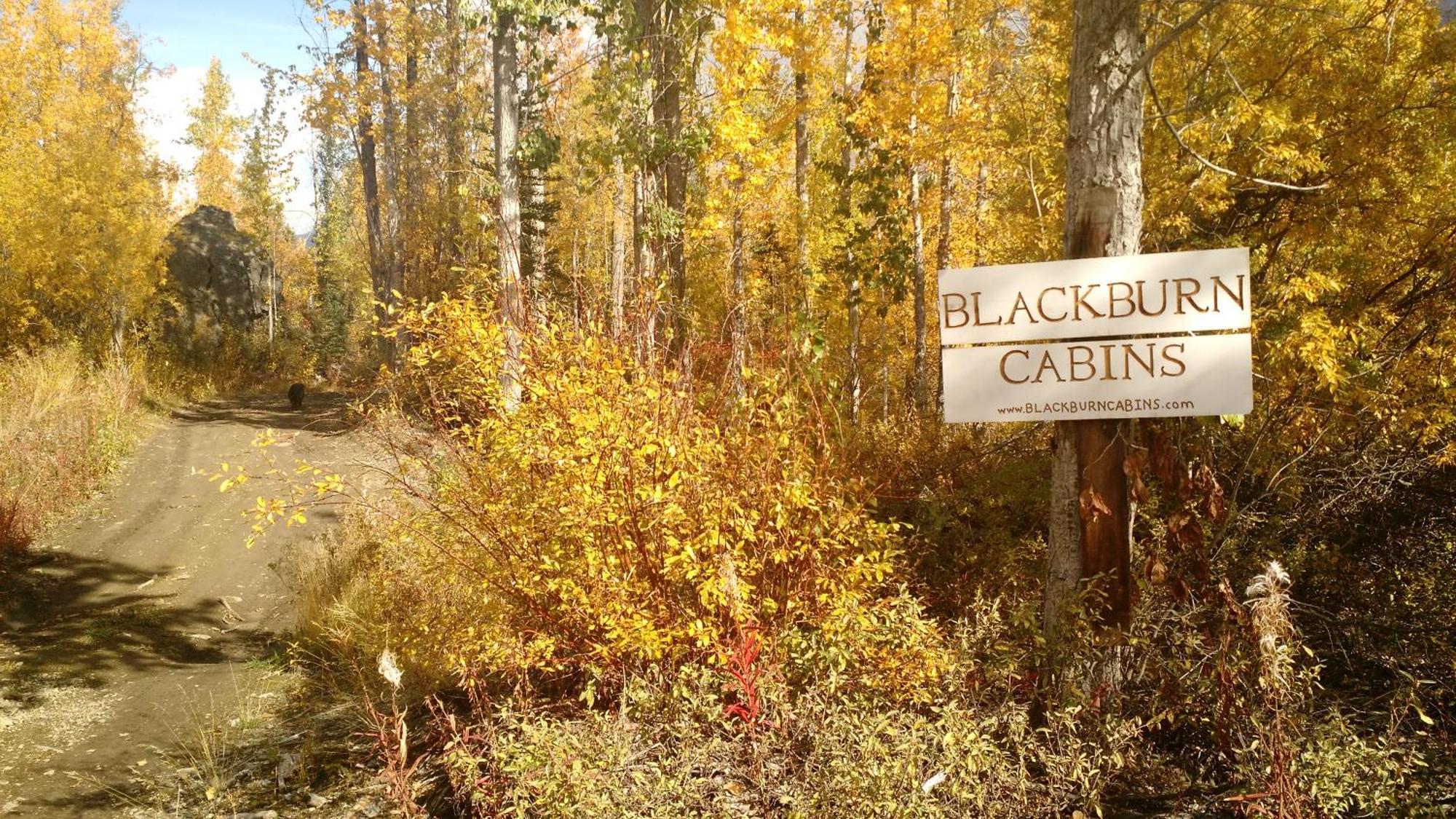 Blackburn Cabins - Mccarthy, Alaska Bagian luar foto