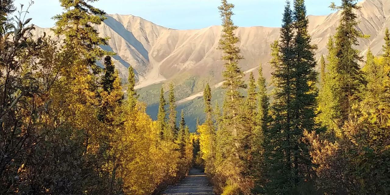 Blackburn Cabins - Mccarthy, Alaska Bagian luar foto